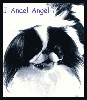  - Anael-Angel