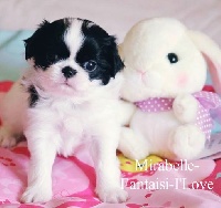 Mirabelle-Fantaisi-I'Love 