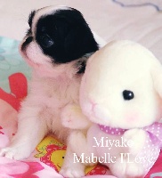 Miyako-Mabella-I'Love
