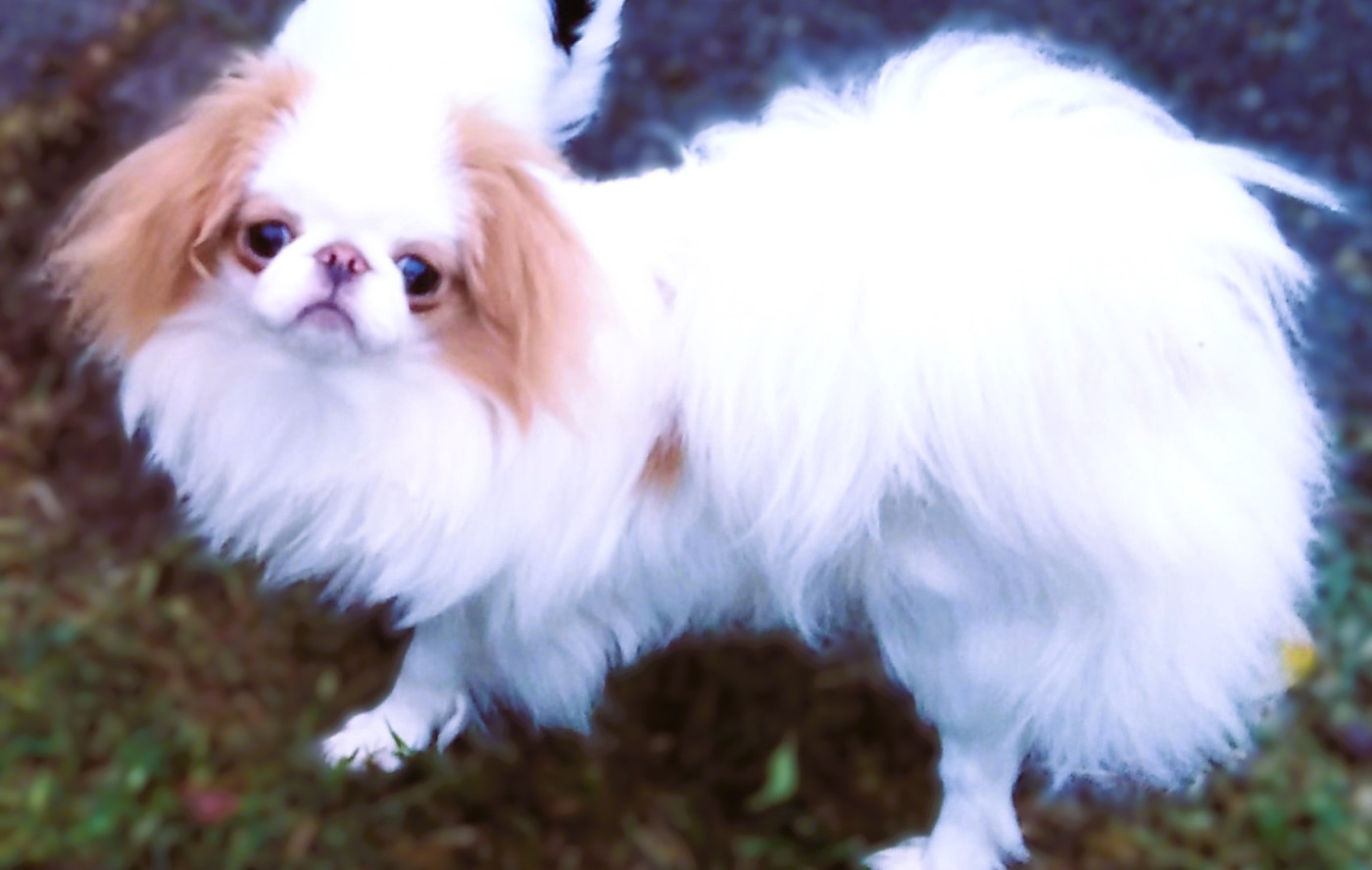 UMINJI du Dieu de la Lumiere