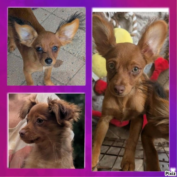 3 petit garçons attende une famille