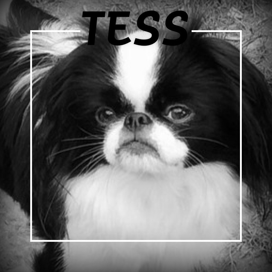 Tess des bébés pour le 20 novembre