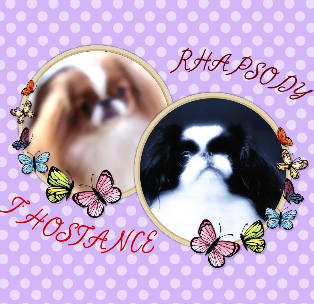 mariage le 26janvier T'Hostance et Rhapsody