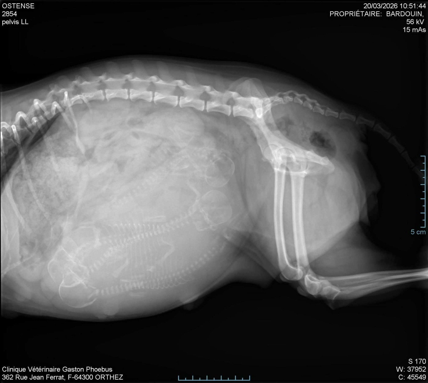 du Dieu de la Lumiere - Hostance 💗