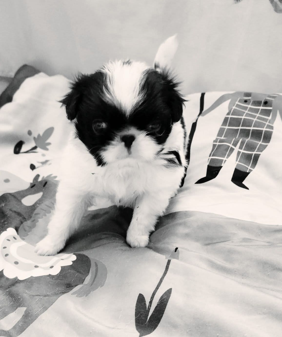 Byiori ☀ 1 mois ❤