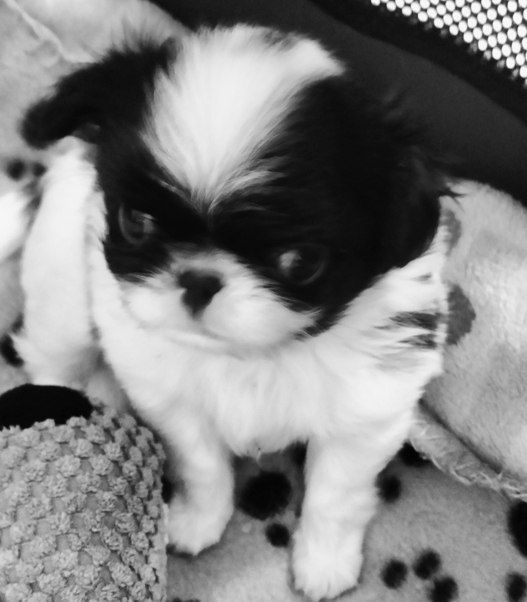Byiori ☀ 1 mois ❤