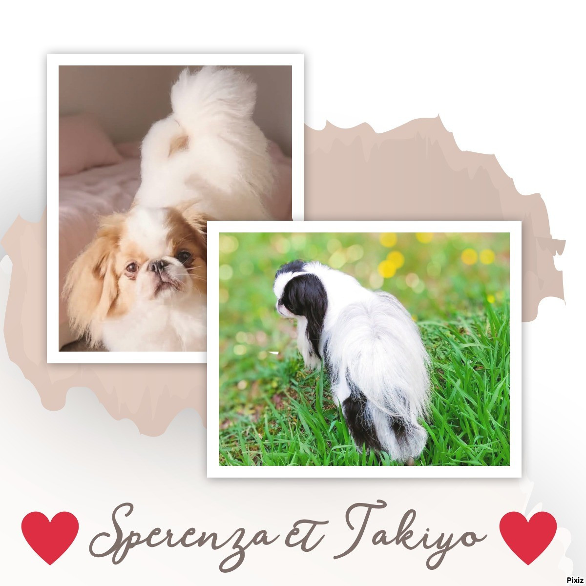 Futur mariage Sperenza et Takiyo le 7 juillet