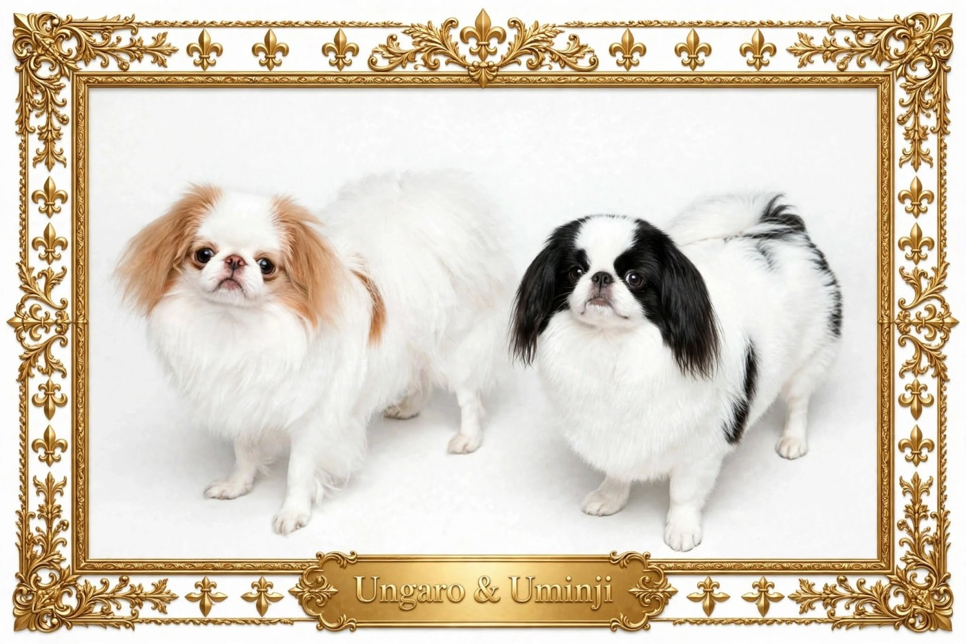 Uminji et Ungaro
